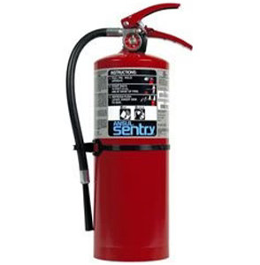 Ansul 429017 (C20) +50C Dry Chemical Fire Extinguisher - 80B:C